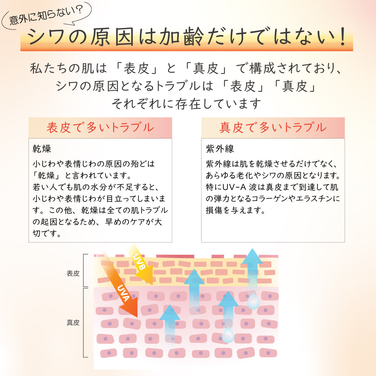 KiREiN 薬用シワ改善美白クリーム